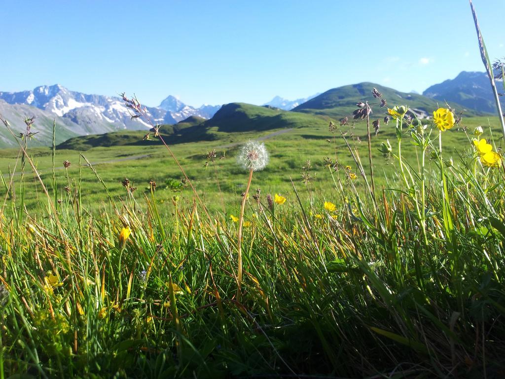 Berggasthaus Tannalp Frutt Exterior foto